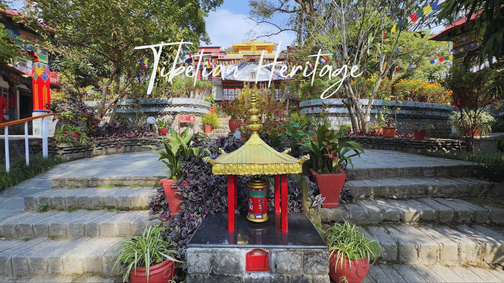 The Little Tibet Dharamshala