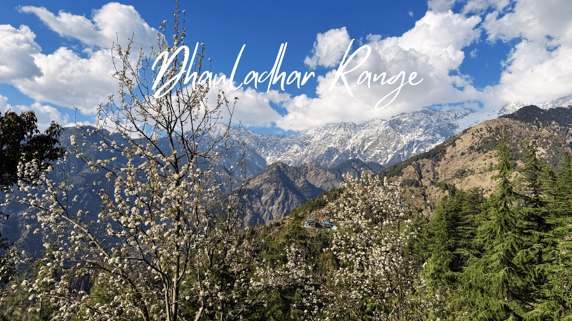 The Little Tibet Dharamshala