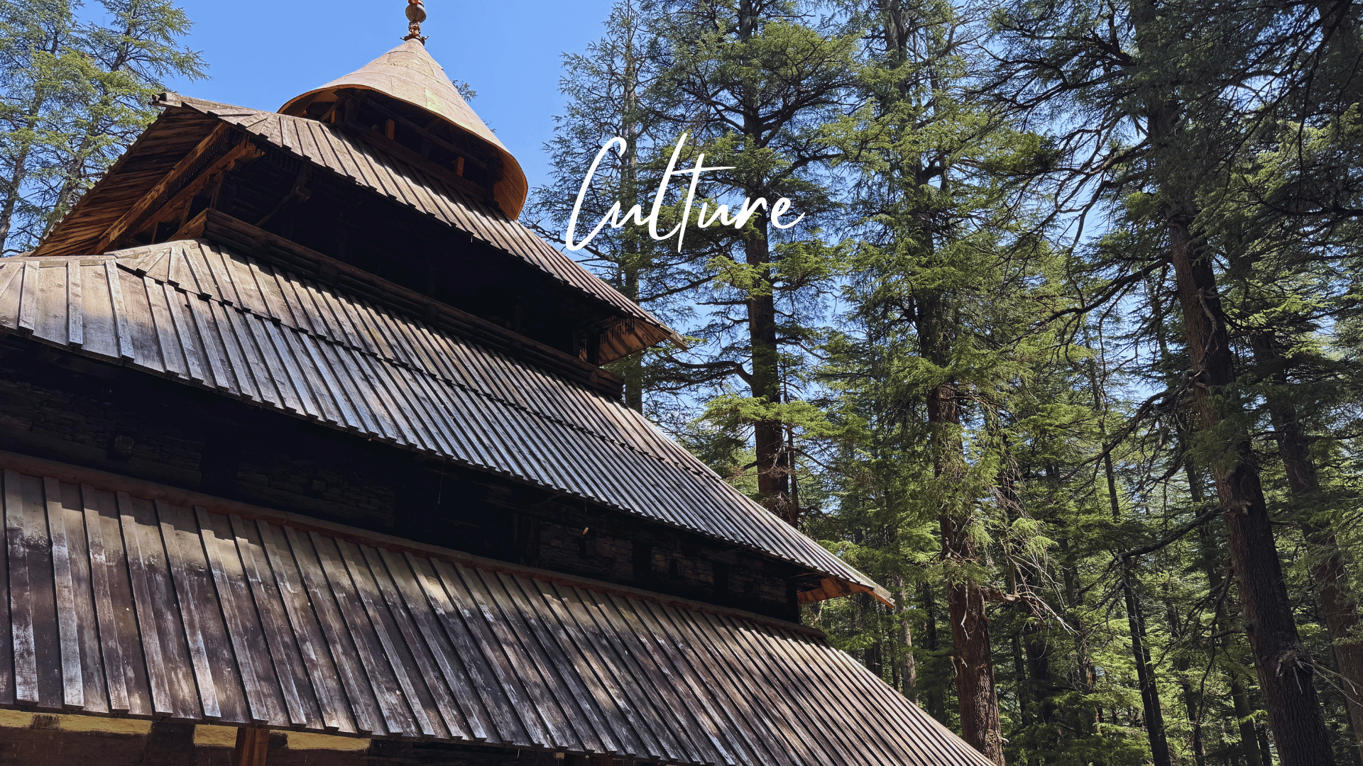 The Adventure Gateway Manali