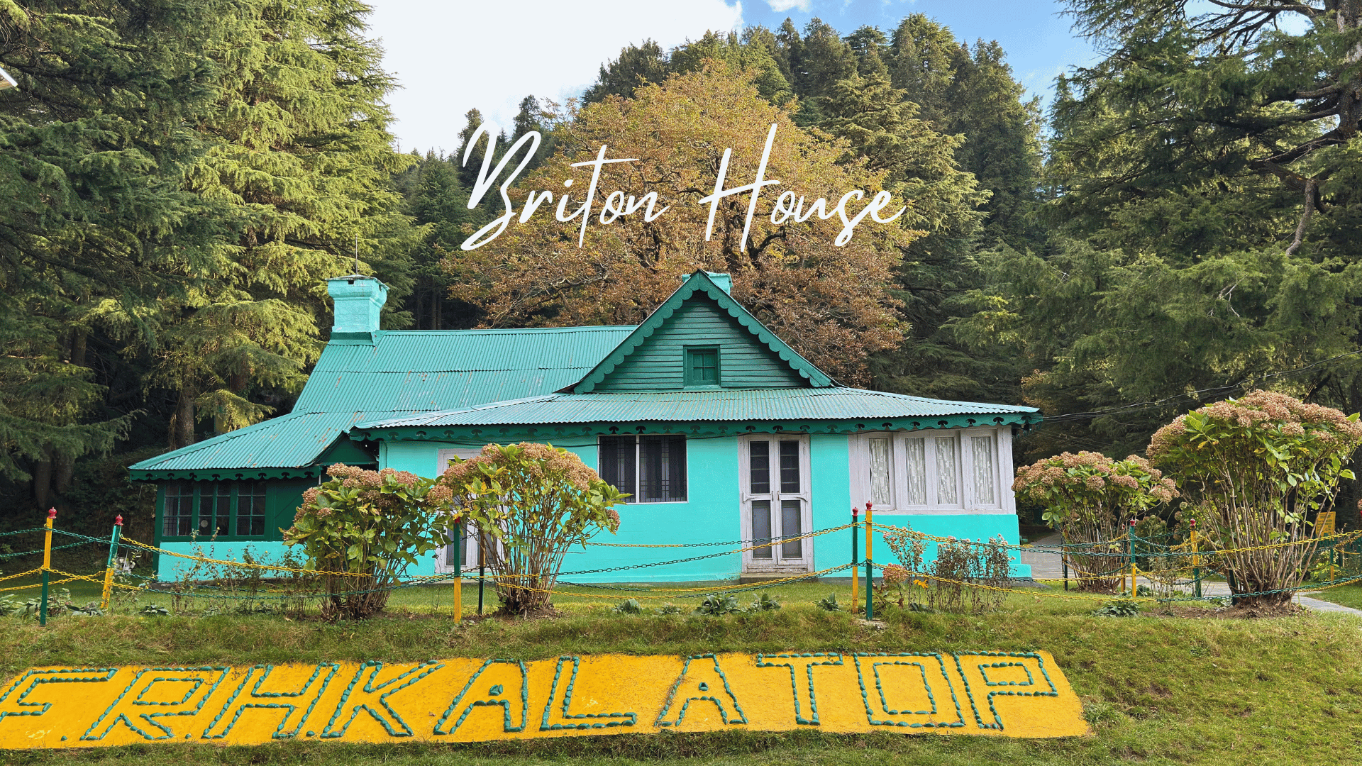 Wild Side Of Dalhousie