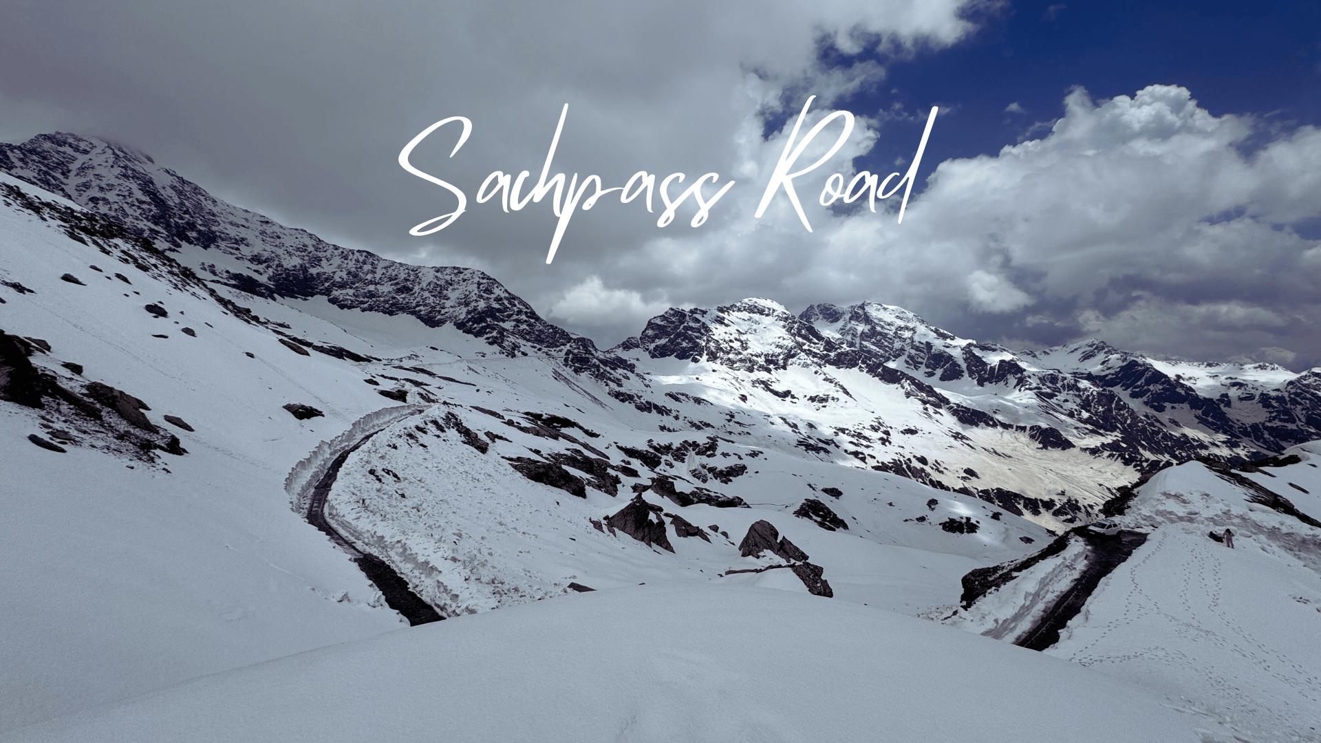 Wild Side Of Dalhousie