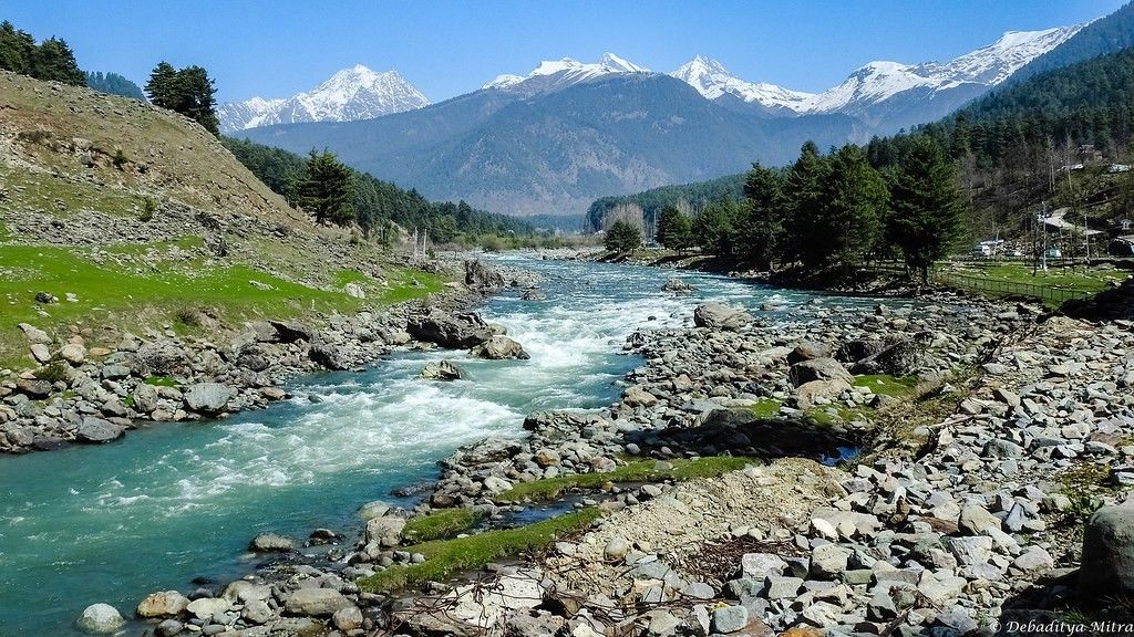 Jibhi