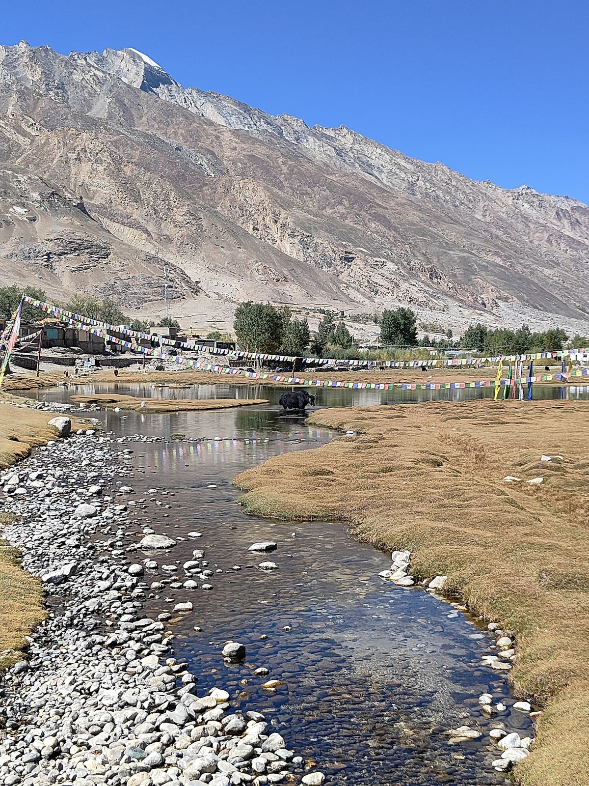 Zanskar Winter Expedition – Into the White Wilderness