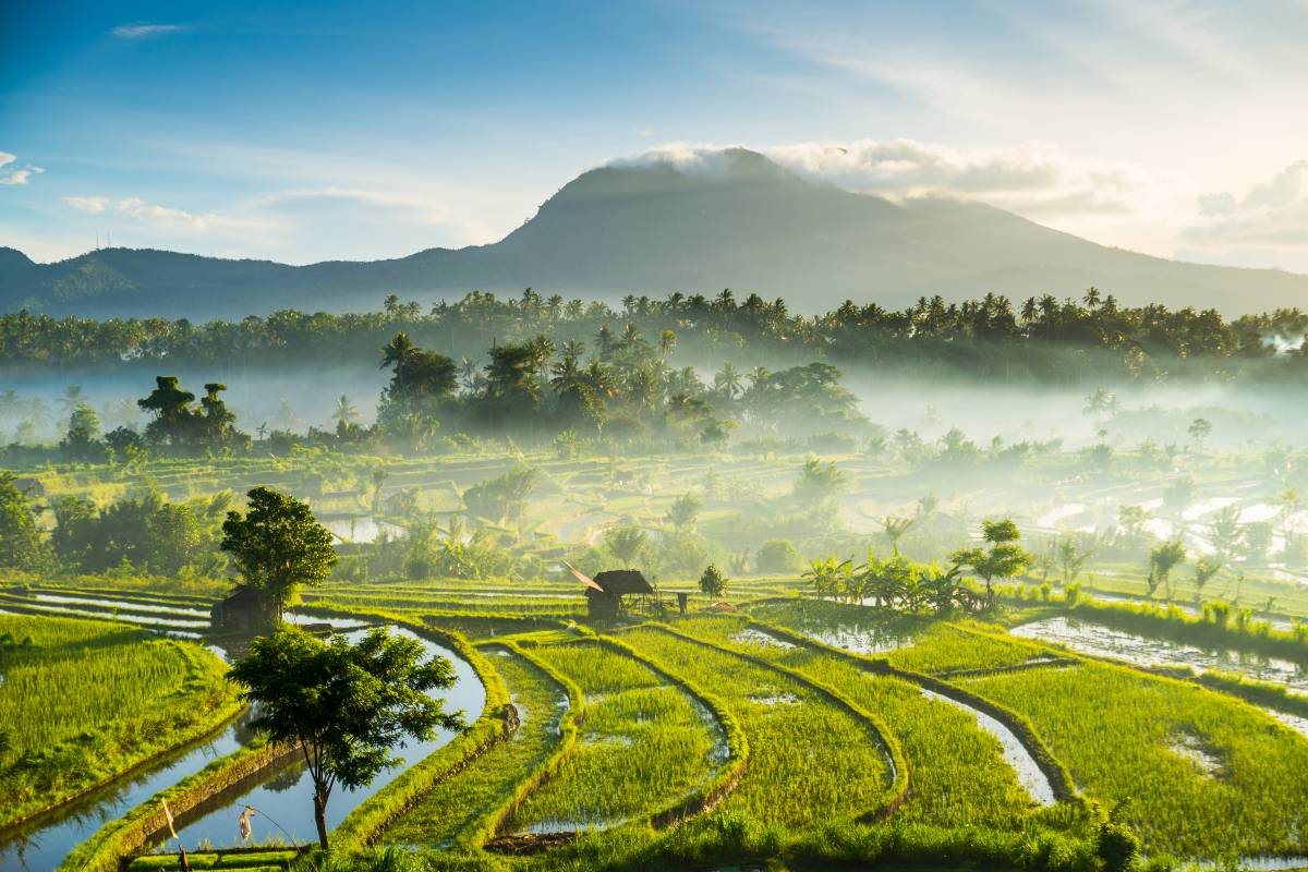 Asia