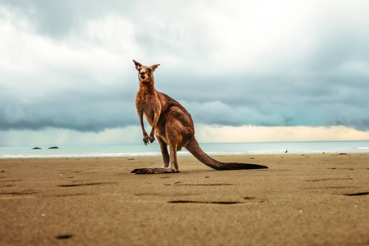Australia