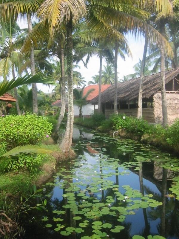 KERALA — Where the Earth Slow & The Soul Awakens